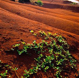 另类恐怖游戏《木卫四协议》前30分钟视频泄露